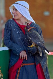 Palio del Ticino Falconeria