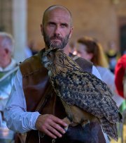 Palio del Ticino Falconeria