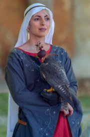 Palio del Ticino Falconeria