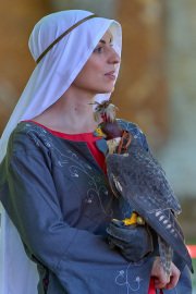 Palio del Ticino Falconeria