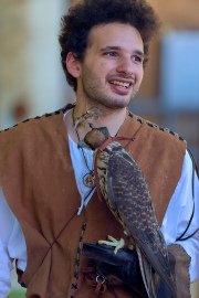 Palio del Ticino Falconeria