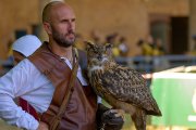 Palio del Ticino Falconeria