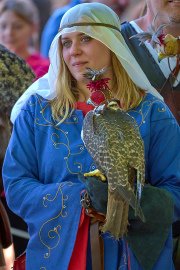 Palio del Ticino Falconeria