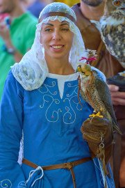 Palio del Ticino Falconeria