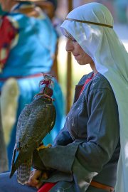 Palio del Ticino Falconeria