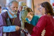 Palio del Ticino Falconeria