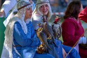 Palio del Ticino Falconeria