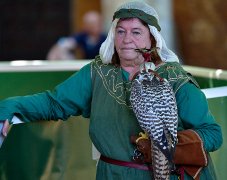 Palio del Ticino Falconeria