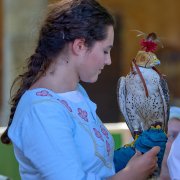 Palio del Ticino Falconeria