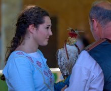 Palio del Ticino Falconeria