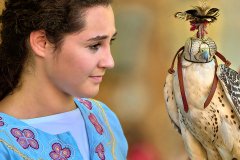 Palio del Ticino Falconeria