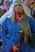 Palio del Ticino Falconeria