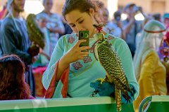 Palio del Ticino Falconeria