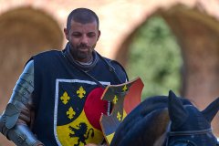 Palio del Ticino Giostra Medioevale