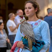 Palio del Ticino Sfilata Storica