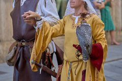 Palio del Ticino Sfilata Storica