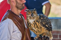 Palio del Ticino Sfilata Storica