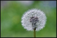 Cose della Natura