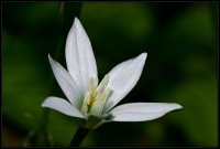 Cose della Natura