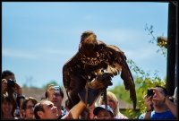 Safari Park