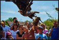 Safari Park