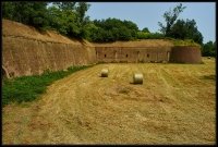 Cittadella Alessandria