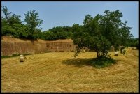 Cittadella Alessandria