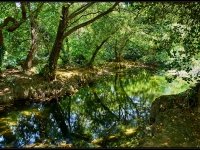 Krka il Parco Nazionale