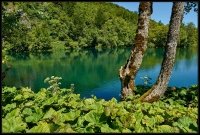 Plitvice - Croazia