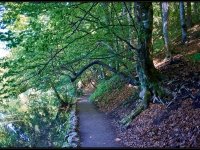 Plitvice - Croazia