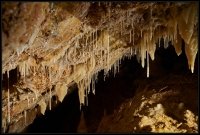 Le Grotte di Borgio Verezzi