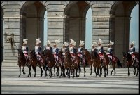 Guardia Real