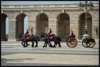 Guardia Real